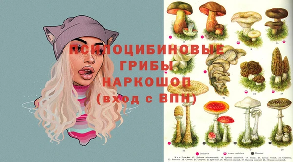 спайс Няндома