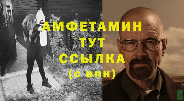 спайс Няндома