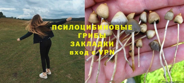 мескалин Нягань