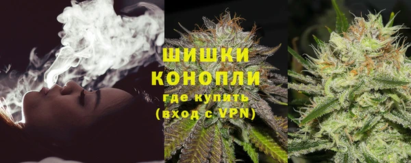 спайс Няндома
