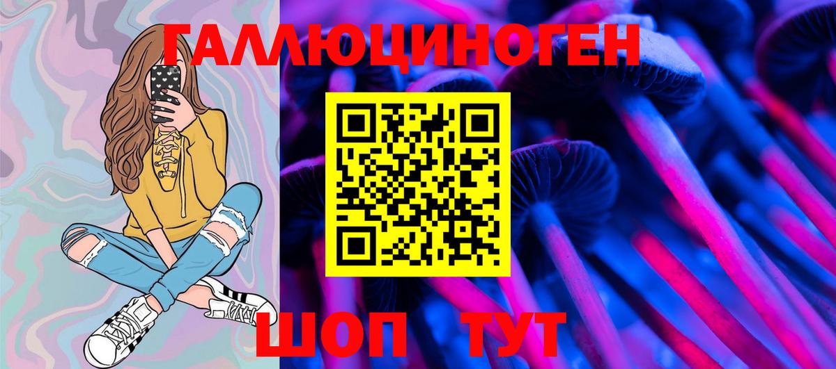 Псилоцибиновые грибы Psilocybe  Псилоцибиновые грибы мухоморы  Вход с VPN  Полысаево 